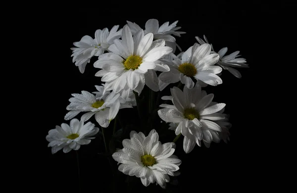 Natürmort onun için çağrıldı