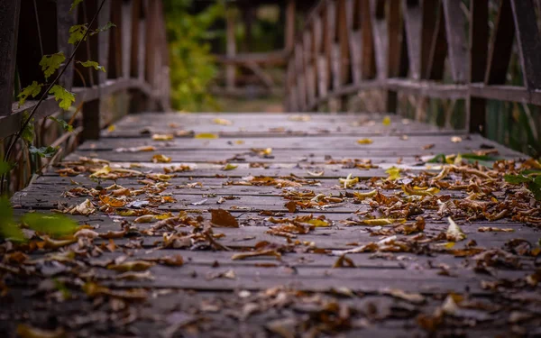 Paisaje Llamado Rastros Octubre — Foto de Stock