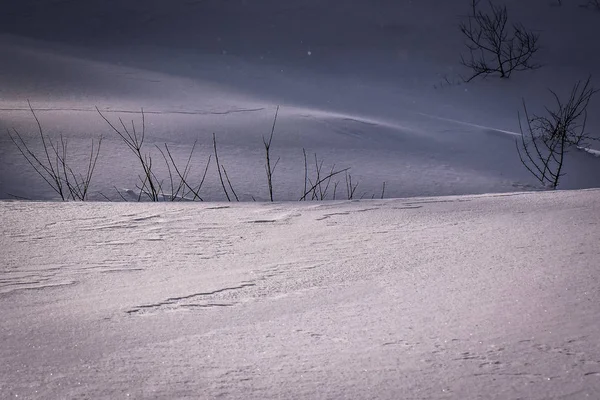 Paesaggio Chiamato Forte Nevicata — Foto Stock