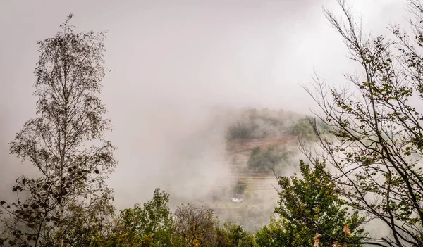 Rainy Transcarpathia adlı manzara
