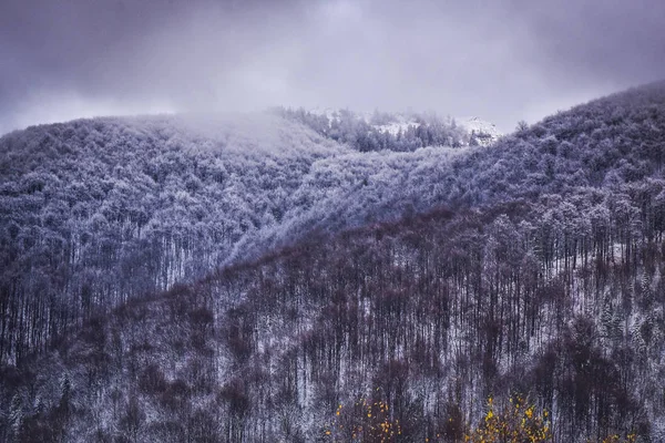 Paysage Appelé Transcarpathie Ensoleillée — Photo