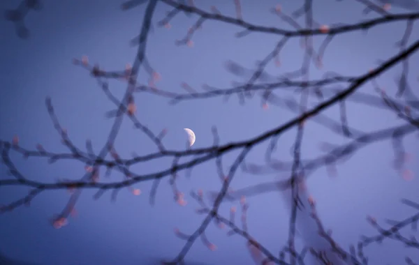 Landscape Called Lunar Haiku — Stock Photo, Image