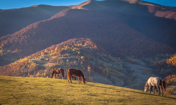 Landschaft Genannt Das Land Der Ukraine — Stockfoto