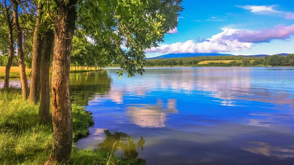 Ландшафт Під Назвою Сонячна Закарпаття — стокове фото