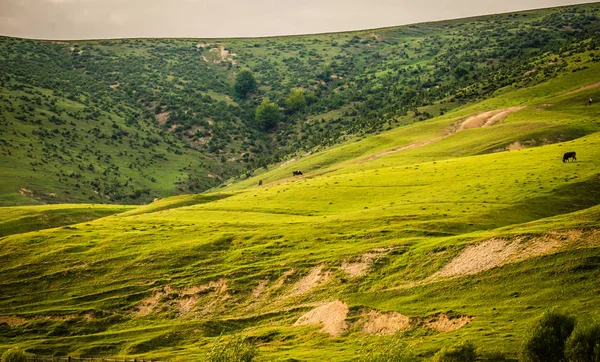 Peisaj Numit Transcarpatia Însorită — Fotografie, imagine de stoc