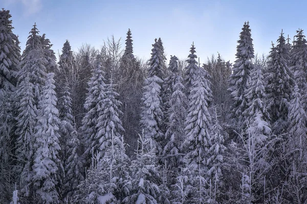 Paisaje Llamado Tierra Ucrania — Foto de Stock