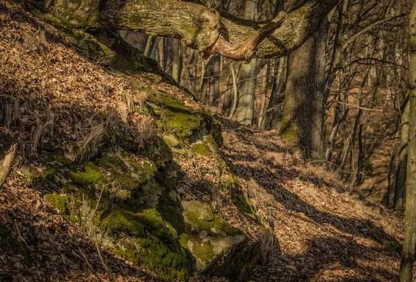 Landschaft Nach Dem Schnee Benannt — Stockfoto