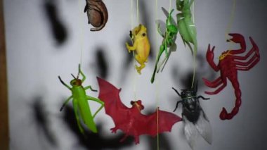 Cadılar Bayramı partisi atmosferi