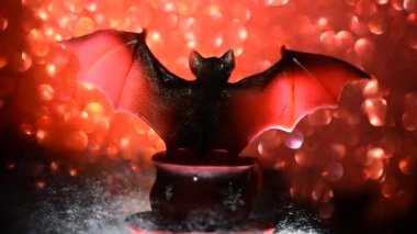 Cadılar Bayramı partisi atmosferi