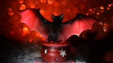 Cadılar Bayramı partisi atmosferi