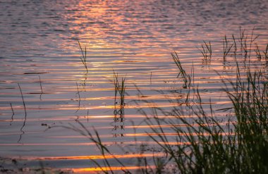 Disko tarzında Sunset denilen manzara