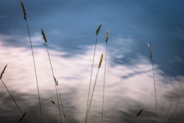 Oklar nehri denilen manzara
