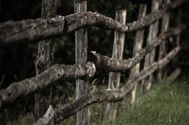Bölge özelleştirme denilen peyzaj