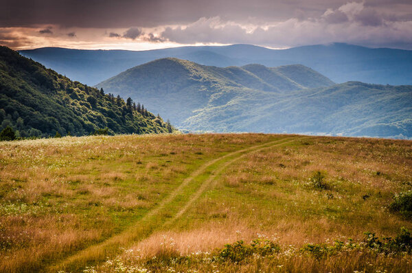 Landscape called Sunny Transcarpathia