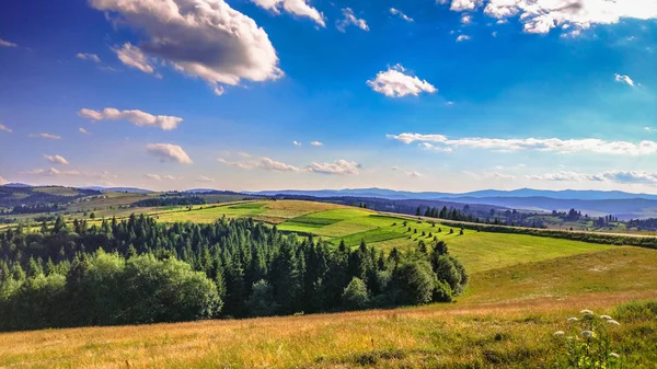 Ландшафт Під Назвою Земля України — стокове фото