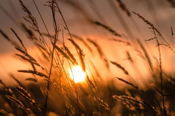 Güneşli Rüzgar denilen manzara