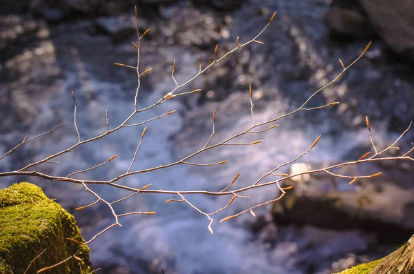 Krajina Nazývaná Přes Horská Řeka — Stock fotografie