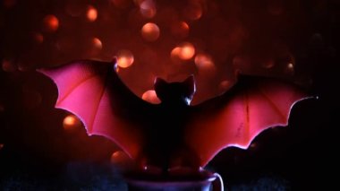 Cadılar Bayramı partisi atmosferi