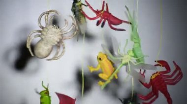 Cadılar Bayramı partisi atmosferi