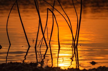 Gün batımında dağ nehri