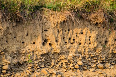 Gün batımında dağ nehri