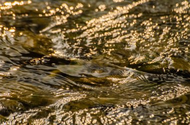 Gün batımında dağ nehri