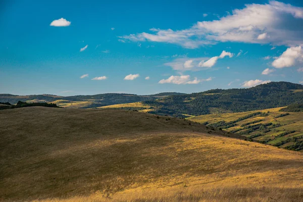 Estate Nei Carpazi — Foto Stock