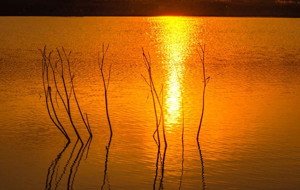 Gün Batımında Dağ Nehri — Stok fotoğraf