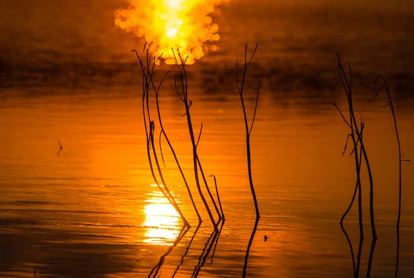 Rivière Montagne Coucher Soleil — Photo