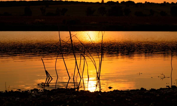 Gün batımında dağ nehri
