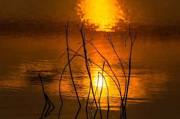 Gebirgsfluss Bei Sonnenuntergang — Stockfoto