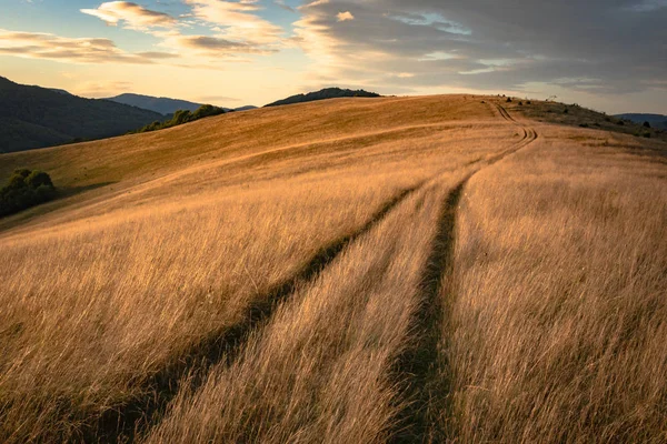 Estate Nei Carpazi — Foto stock gratuita