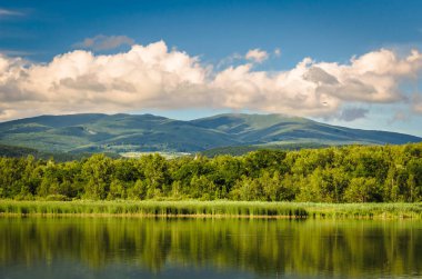 Sunny Transcarpathia denilen manzara 