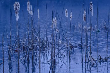 Mülteci yağmuru denilen manzara