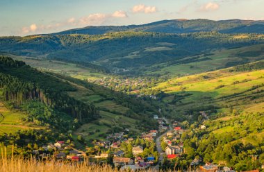 Sunny Transcarpathia denilen manzara 