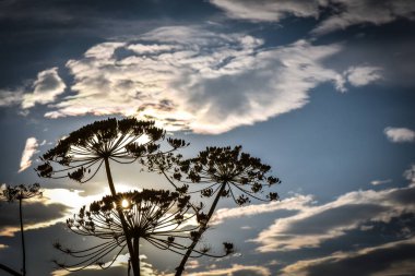 Tehlikeli gün batımı denilen manzara 