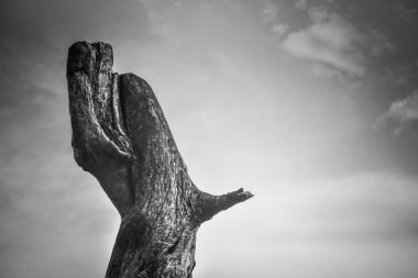 Manzara sevinç ve keder içinde denir 