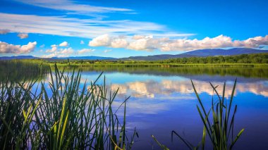 Sunny Transcarpathia denilen manzara