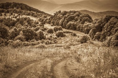 Rainy Transcarpathia adlı manzara 