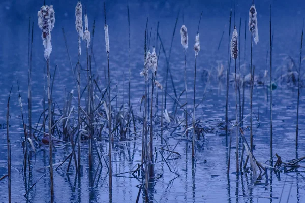 Landscape Called Refugee Rain — Stock Photo, Image