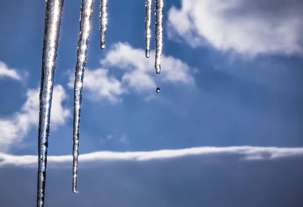 Landscape Called Gifts Winter — Stock Photo, Image