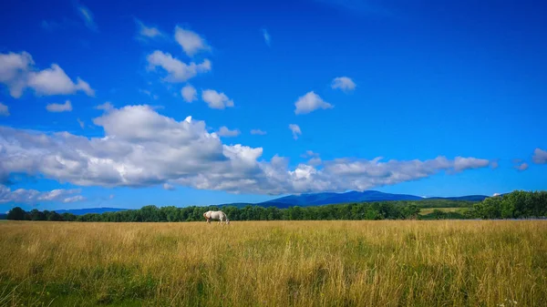 Manzara Ukrayna'nın arazi denir
