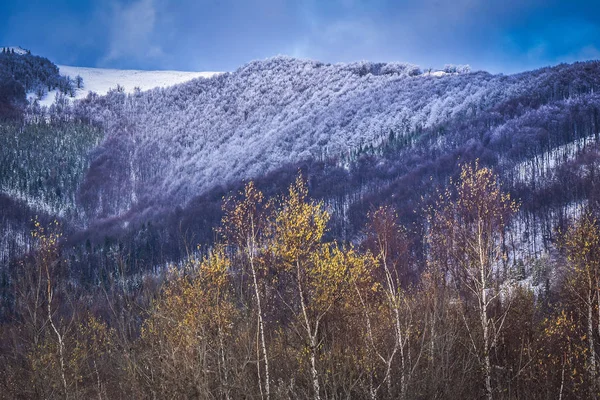 Paisaje Llamado Invierno Transcarpático — Foto de Stock