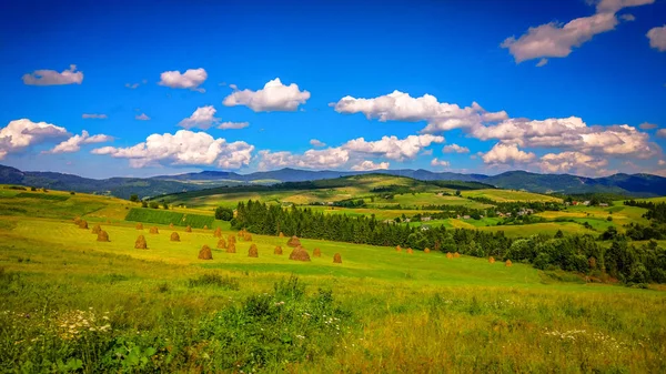 Пейзаж Названием Земля Украины — стоковое фото