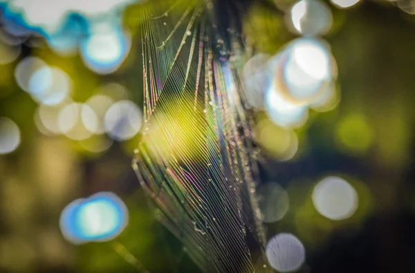 Gökkuşağı İplikleri adı verilen manzara 