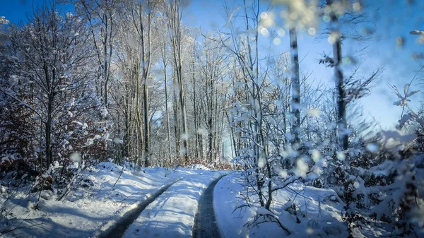 Paisaje Llamado Sunny Transcarpathia — Foto de Stock