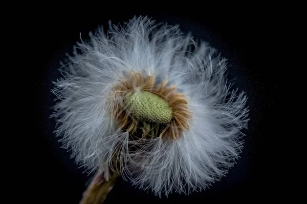 Ünlü fizikçi adlı manzara 