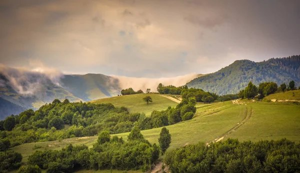 Пейзаж Під Назвою Кінський Орел Туман — стокове фото