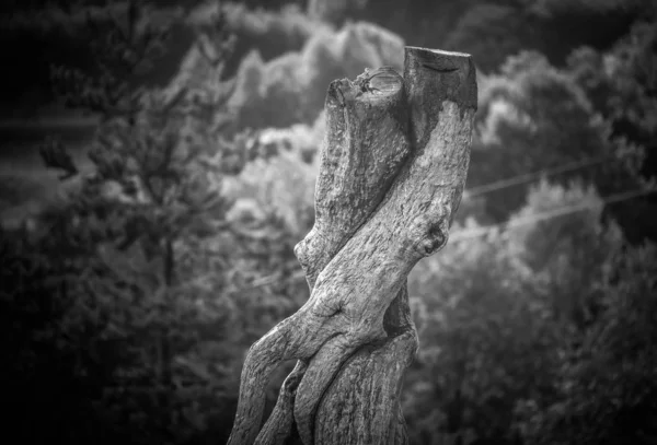 Manzara sevinç ve keder içinde denir 