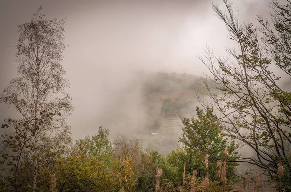 Peisaj Numit Tărâmul Ucrainei — Fotografie, imagine de stoc